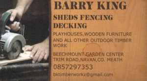 Logo Barry King