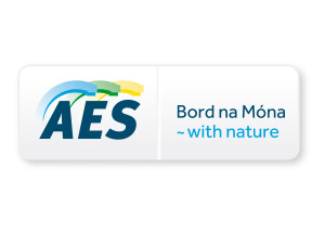 AES_BNM logo